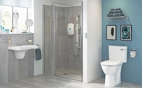 Accessible Bathroom Design