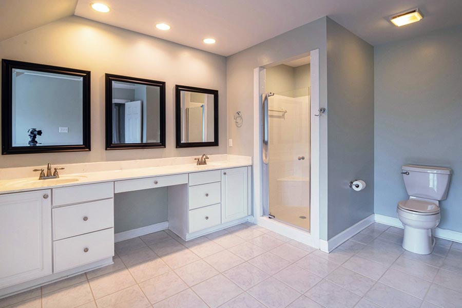 Wet room with double sink, shower and toilet